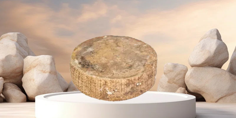 Italian Aged Cheese: From Farm to Your Expensive Cheese Board