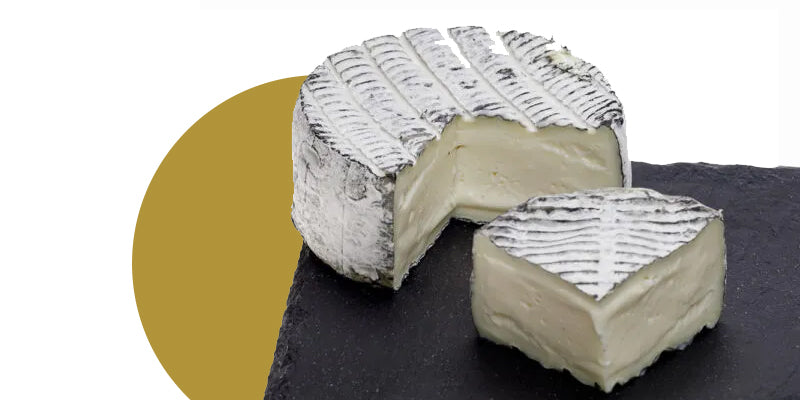 Top 12 Italian Cheeses Every Canadian Foodie Must Try in 2026