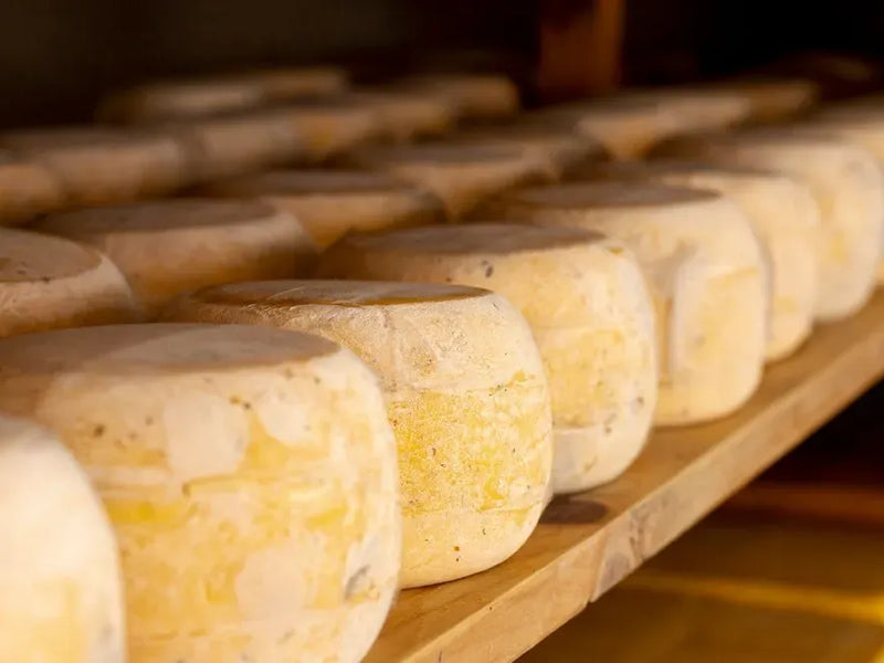 How to Properly Store Aged Cheese to Preserve Its Flavor